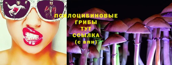 стафф Верея